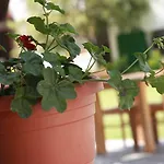 Rota Otel & Restaurant Ξενοδοχείο Karaburun (Izmir)