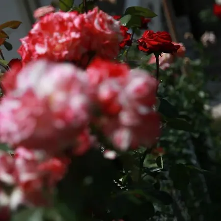 Bed & Breakfast Rota Karaburun (Izmir)