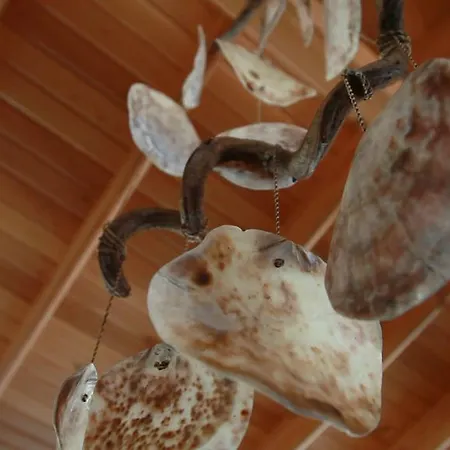 Bed and breakfast Rota *