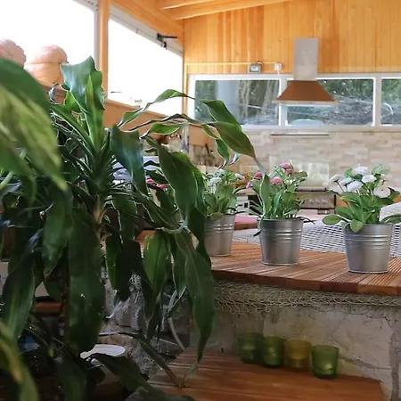 Rota Bed and breakfast