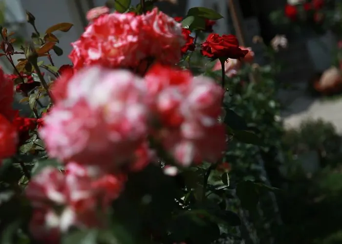 Bed & Breakfast Rota Karaburun (Izmir)