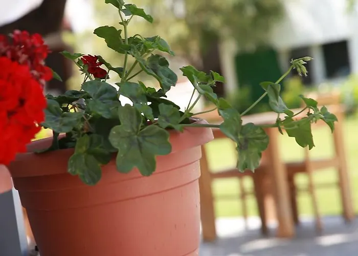 Rota Bed & Breakfast Karaburun (Izmir)