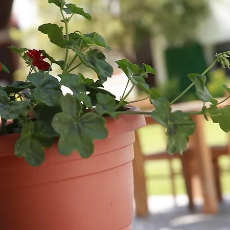 Rota Bed and Breakfast Karaburun (Izmir)