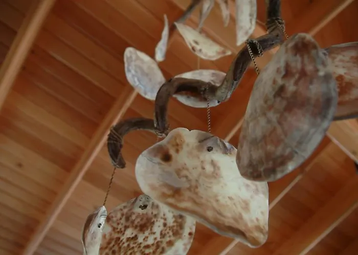 Hotel Rota Otel & Restaurant 2*